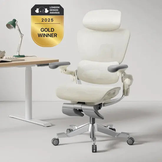 Hinomi H2 Pro Ergonomic Chair with Adjustable Features - Ergo Heights