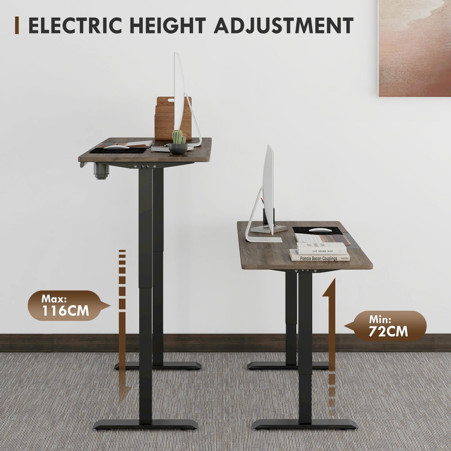 Height Adjustable Electric Standing Desk Stand up Desk for Home Office Black