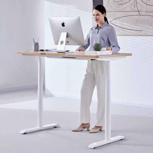 Hinomi S1 Adjustable Desk