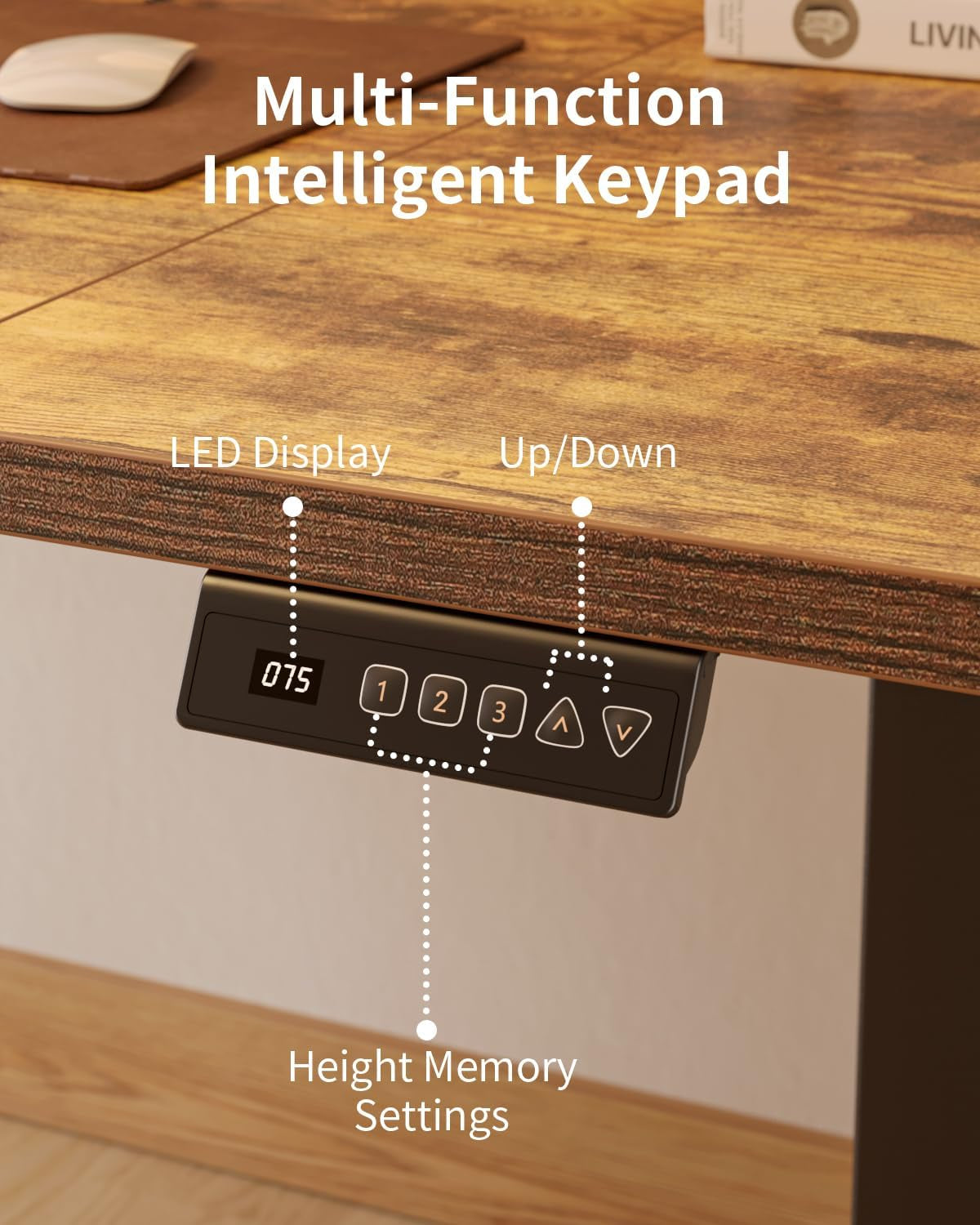 Electric Standing Desk 120 X 60 Cm, Height Adjustable Sit Stand Desk with Memory Presets, Home Office Computer Desk, Black Frame with Vintage Brown Top
