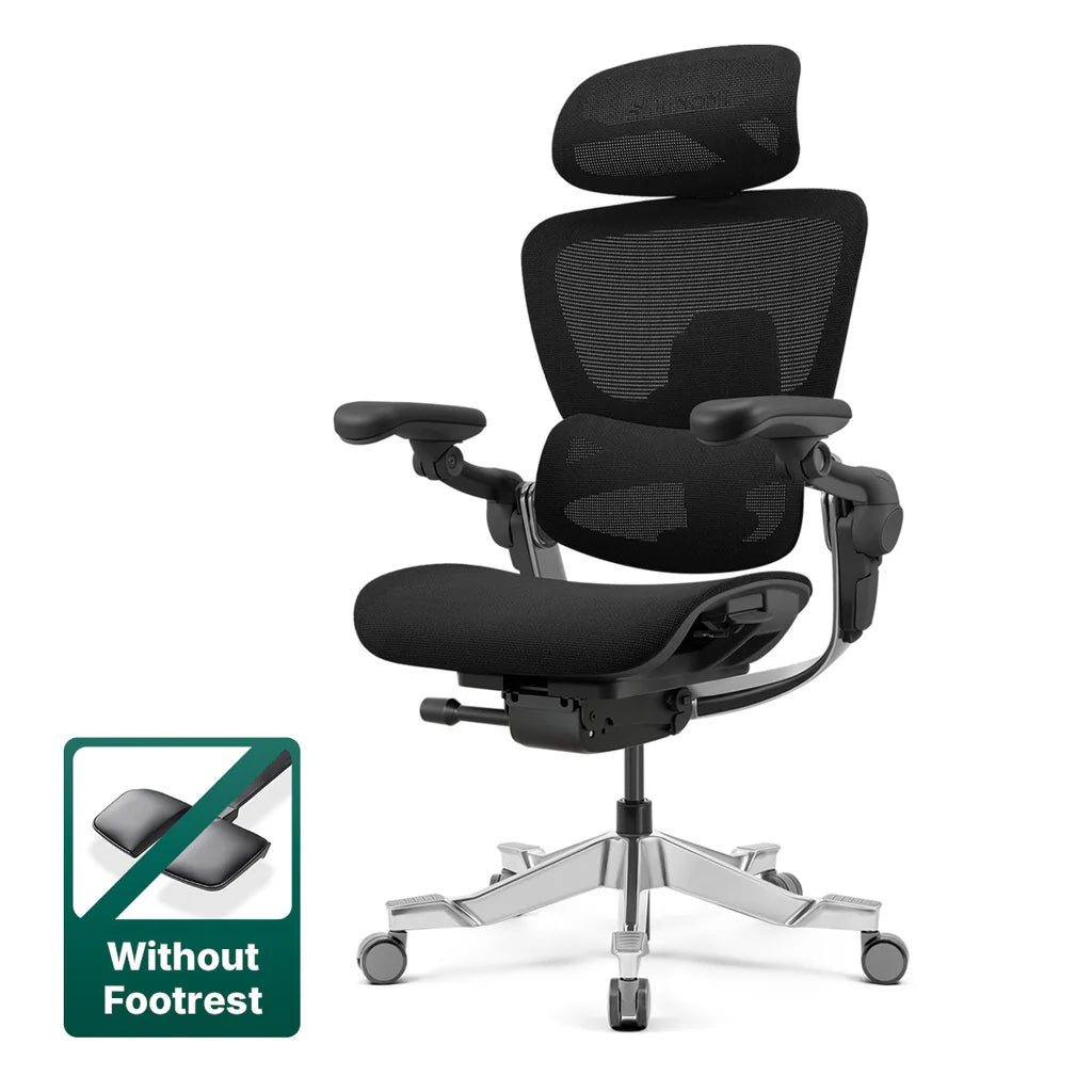 Top Rated Hinomi H2 Foldable Ergonomic Home Office Chair