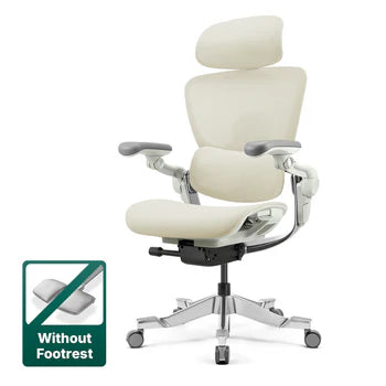 Top Rated Hinomi H2 Foldable Ergonomic Home Office Chair
