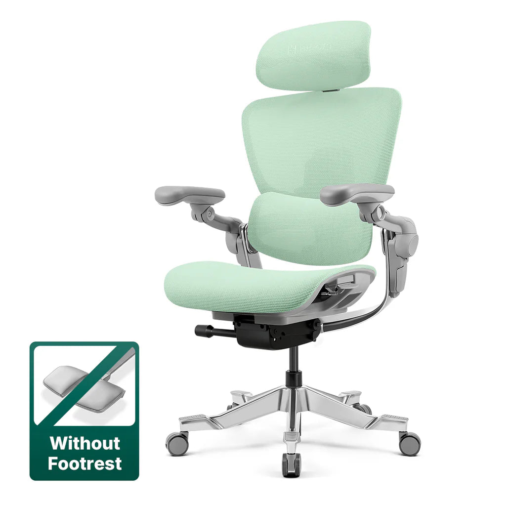 Top Rated Hinomi H2 Foldable Ergonomic Home Office Chair