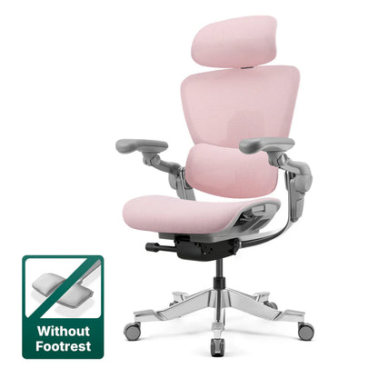 Top Rated Hinomi H2 Foldable Ergonomic Home Office Chair