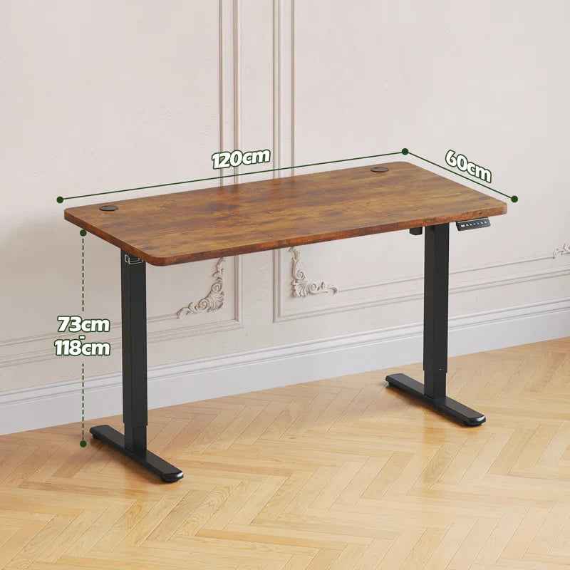 Electric Standing Desk Height Adjustable Desk Sit Stand Desk with Time Reminder Stand up Desk 3 Memory Setting Electric Desk