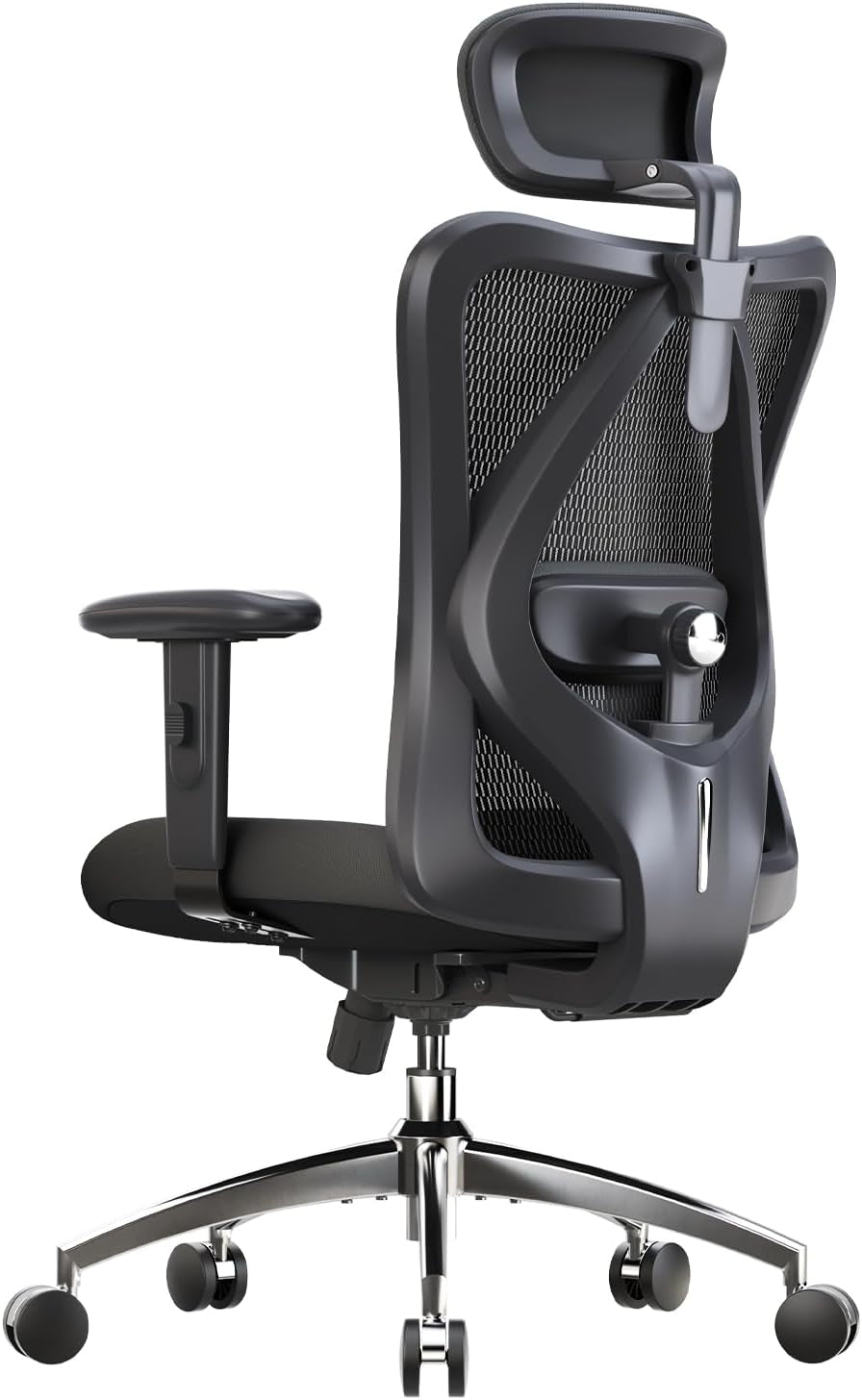 M18 Ergonomic Office Chair, Adjustable Lumbar Support, 330 Lb, Black