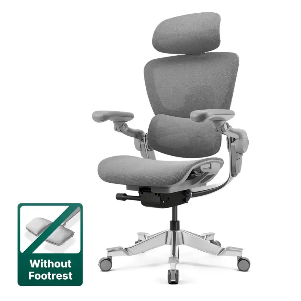 Gray mesh ergonomic office chair with adjustable arms and a five-star base.