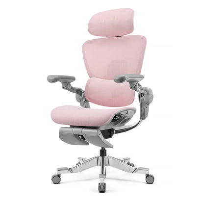 Top Rated Hinomi H2 Foldable Ergonomic Home Office Chair