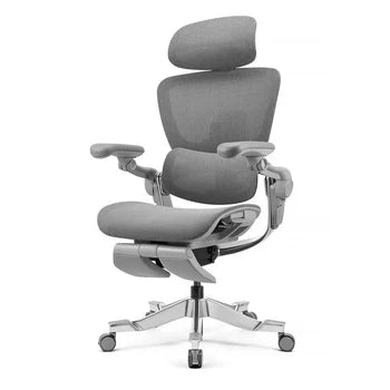 Top Rated Hinomi H2 Foldable Ergonomic Home Office Chair